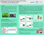 Linking functional traits and ecosystem functioning in a Canadian coastal eelgrass meadow
